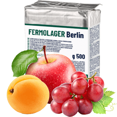 FERMOLAGER BERLIN